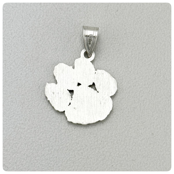 Back, Sterling Silver Pendant, Clemson University Tiger, New - The Silver Vault of Charleston