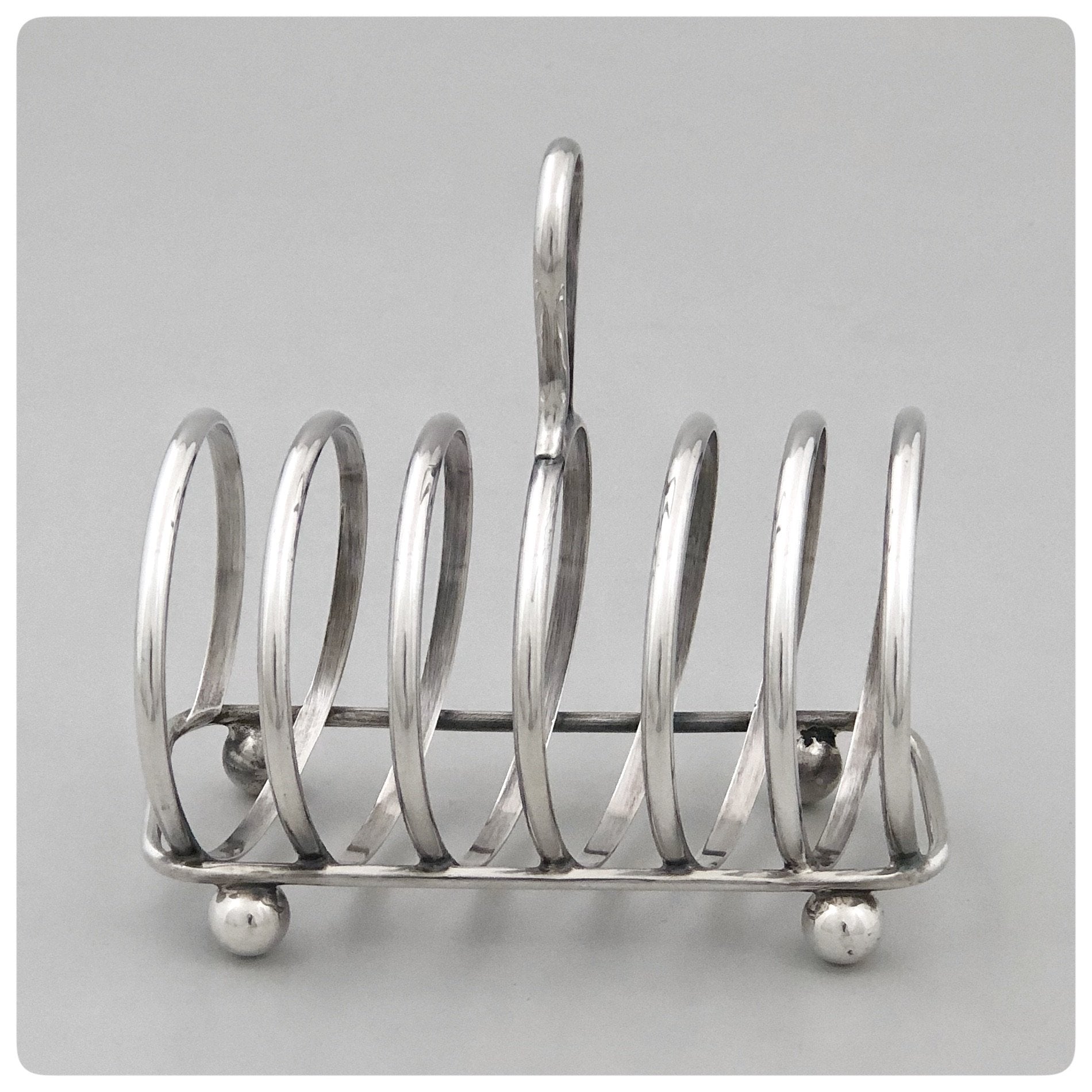 Silver DIGNITY stainless steel wall mounted dish rack